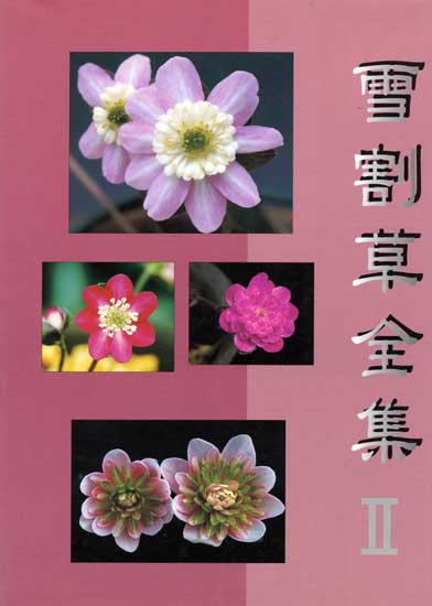 Buch Hepatica-Leberblümchen-Japanisch-Nr II--0
