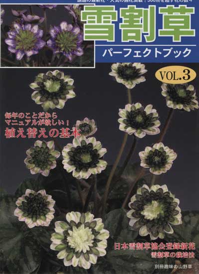Buch Hepatica-Leberblümchen-Japanisch-Vol. 3-0