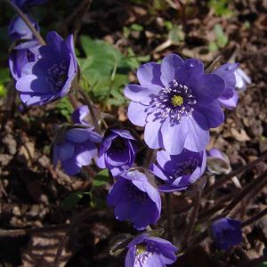 x media Blaue Stunde-8307