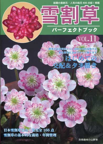 Buch Hepatica-Leberblümchen-Japanisch-Vol. 11-0