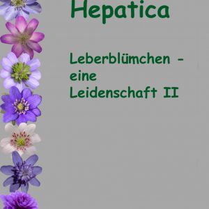 Buch Hepatica  Leberblümchen - eine Leidenschaft II