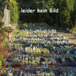 leider kein Bild