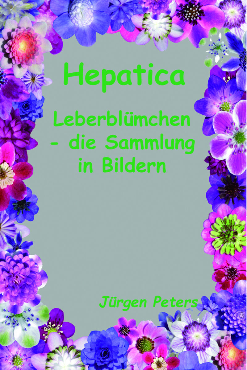 Buch Hepatica  Leberblümchen - die Sammlung in Bildern