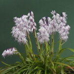 d89f51d28d9989210e3ac1cbbb13a9d6